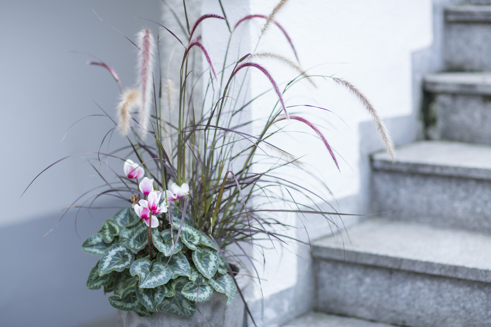 49-Fotograf-Oberösterreich-Johanneshof-Naarn-Hochzeit-Sandra-Gehmair