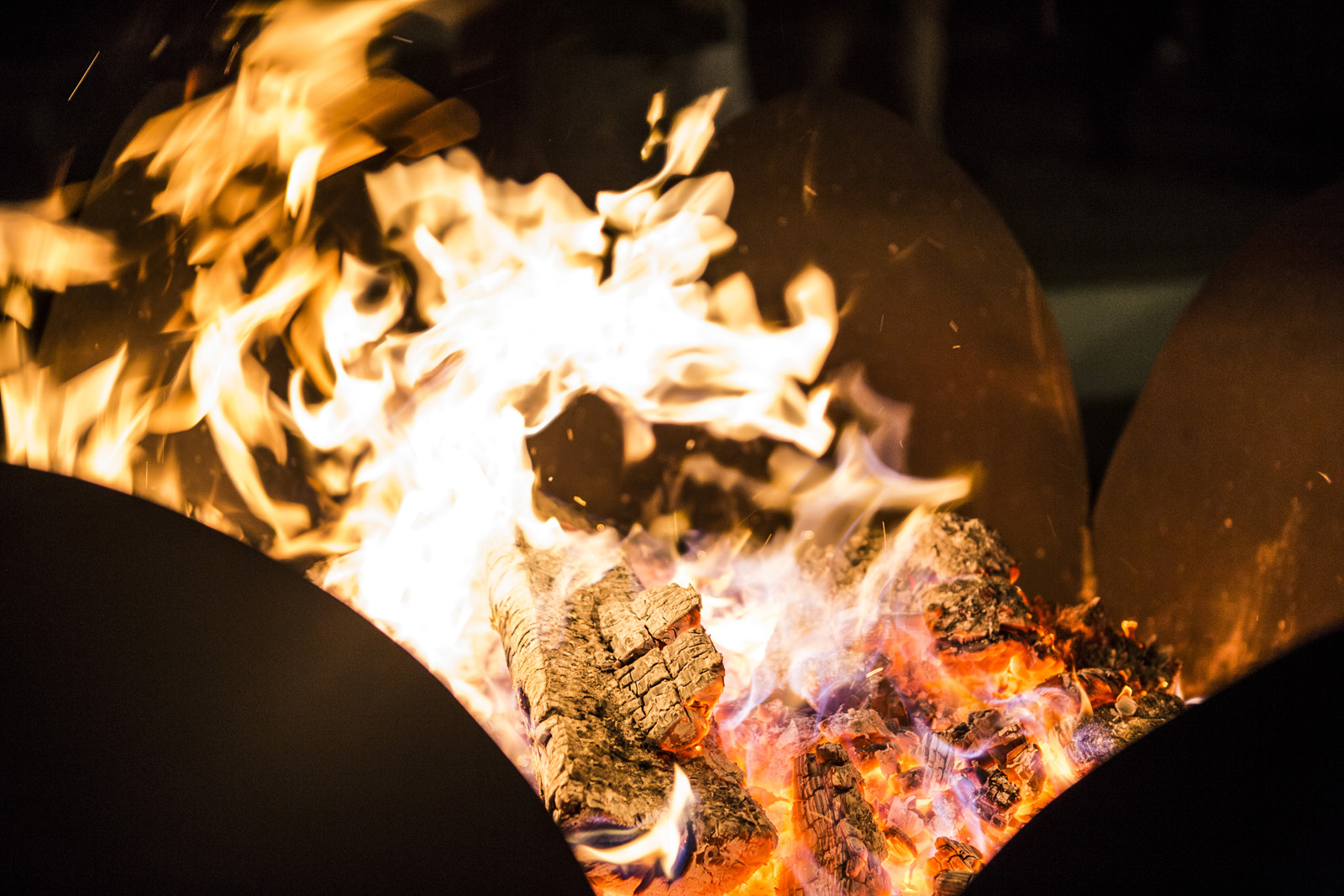 83-Fotograf-Oberösterreich-Johanneshof-Naarn-Hochzeit-Sandra-Gehmair